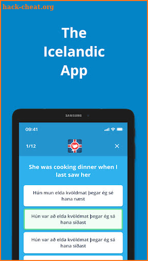 The Icelandic App screenshot