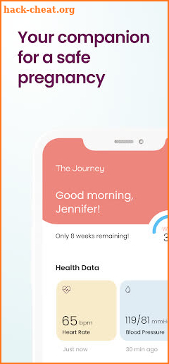 The Journey Pregnancy screenshot