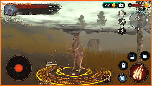 The Kangaroo screenshot