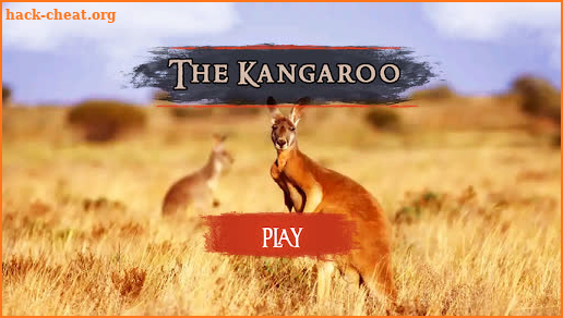 The Kangaroo screenshot