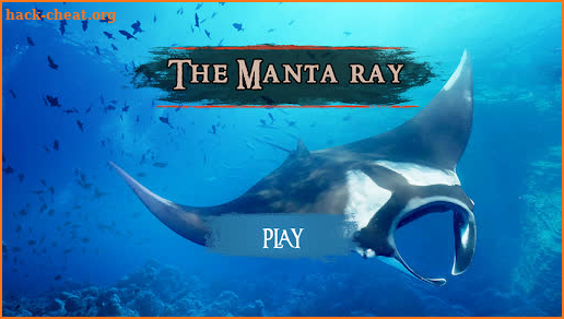 The Manta rays screenshot