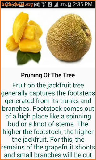 The Method Of Cultivating Jackfruit screenshot