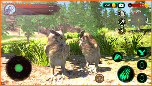 The Owl screenshot
