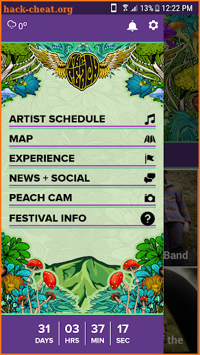 The Peach Music Festival screenshot