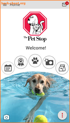 The Pet Stop AK screenshot