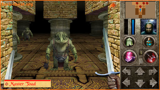 The Quest - Basilisk's Eye screenshot