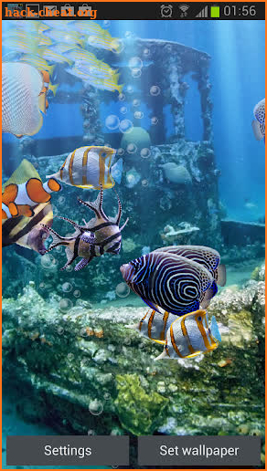 The real aquarium - Live Wallpaper screenshot