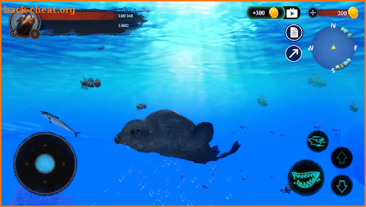 The Sea Lion screenshot