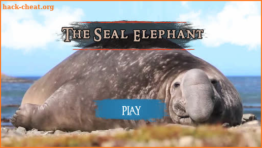 The Seal Elephant screenshot