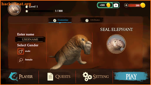 The Seal Elephant screenshot