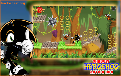 The Shadow Hedgehog Action Run screenshot
