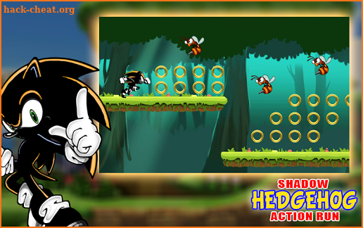 The Shadow Hedgehog Action Run screenshot
