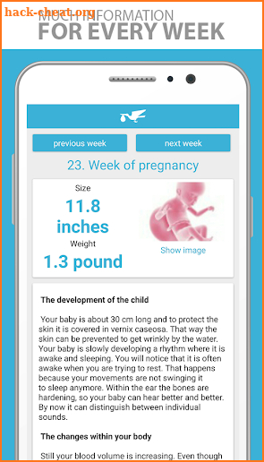 The Stork - Pregnancy App screenshot