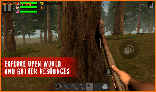 The Survivor: Rusty Forest screenshot