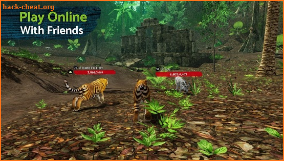 The Tiger screenshot