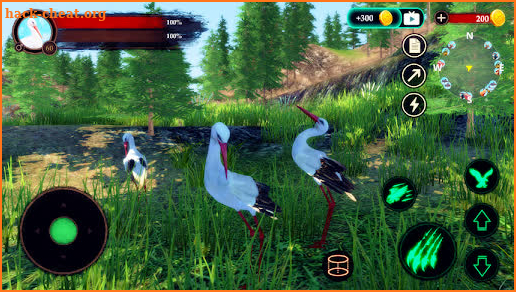 The White Stork screenshot