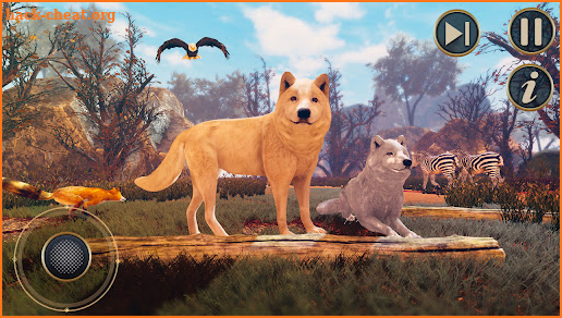 The Wild Wolf Animal Simulator screenshot
