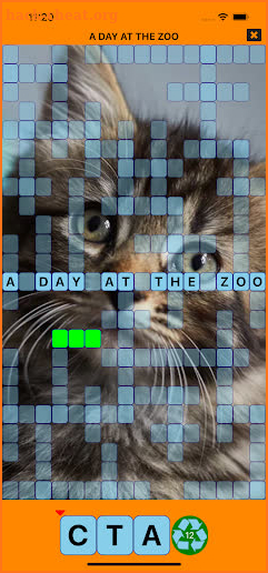 Theme Crosswords screenshot