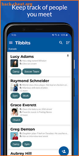 Tibbits – Remember Names screenshot