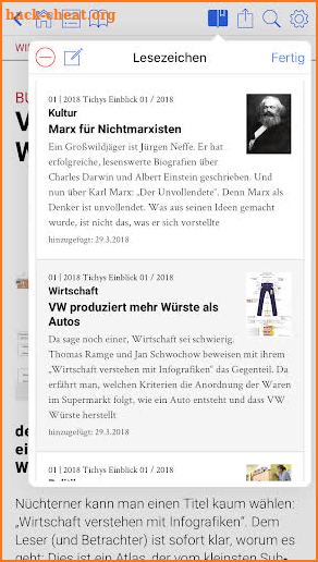 Tichys Einblick Magazin screenshot
