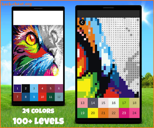 Tiger & Wolf Color By Number Animals Pixel Art screenshot