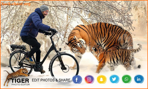 Tiger Photo Editor & Photo Frame screenshot