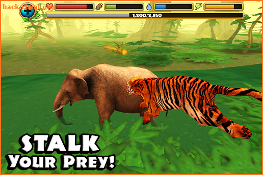 Tiger Simulator screenshot