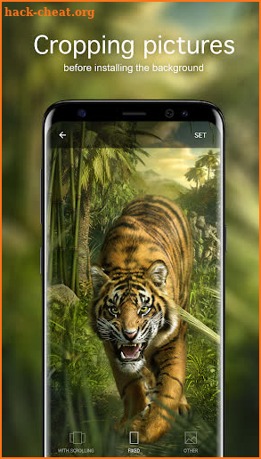 Tiger Wallpapers 4K screenshot