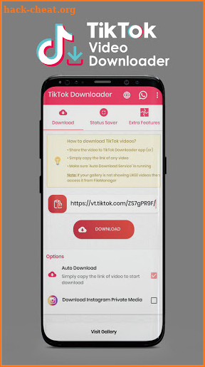 TikTok Downloader 2021 screenshot