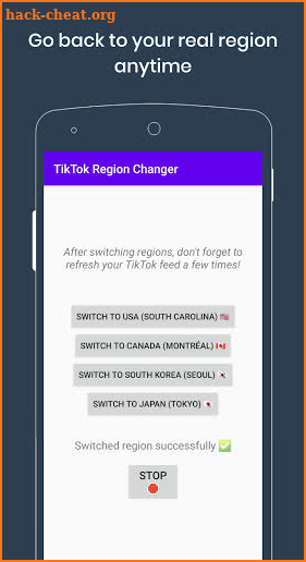 TikTok Region Changer screenshot