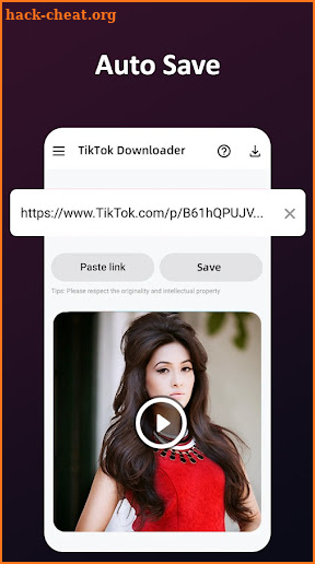 TikTok Video Downloader screenshot