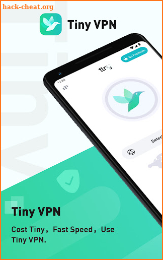 TinyVPN screenshot