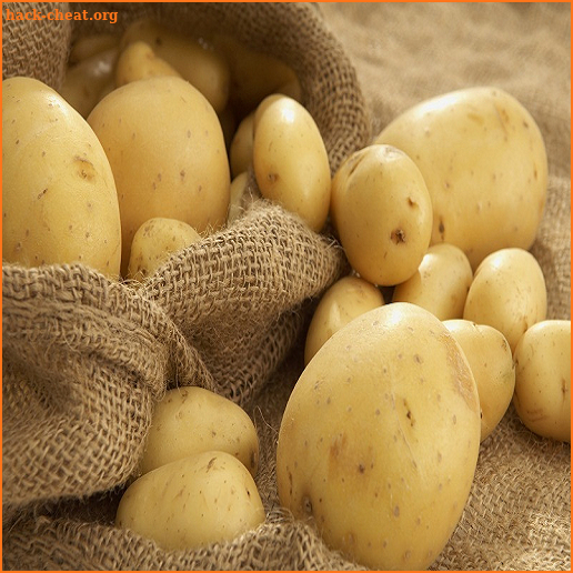 tips praktis dan cerdas menanam kentang polybag screenshot