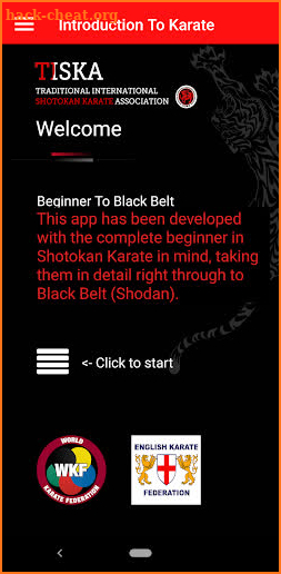 Tiska Beginner to Black Belt screenshot