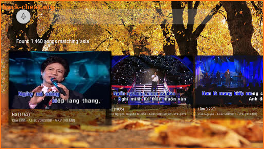 TKaraoke screenshot