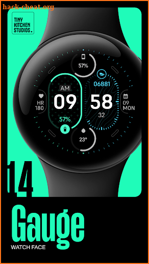 TKS 14 Gauge Watch Face screenshot