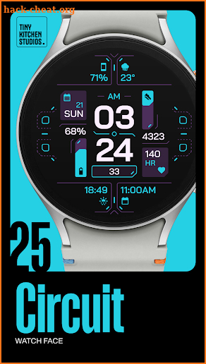 TKS 25 Circuit Watch Face screenshot