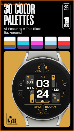 TKS 25 Circuit Watch Face screenshot