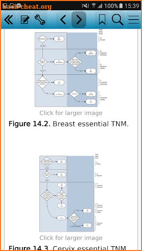 TNM Classification of Malignant Tumours, 8th Ed screenshot
