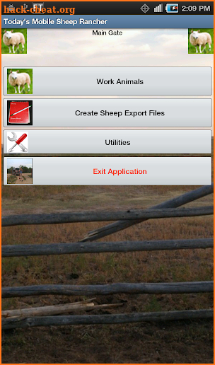 Today's Mobile Sheep Rancher screenshot