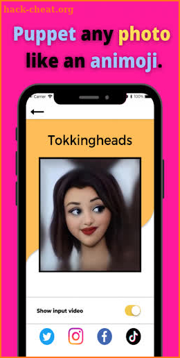 TokkingHeads Portrait Video screenshot