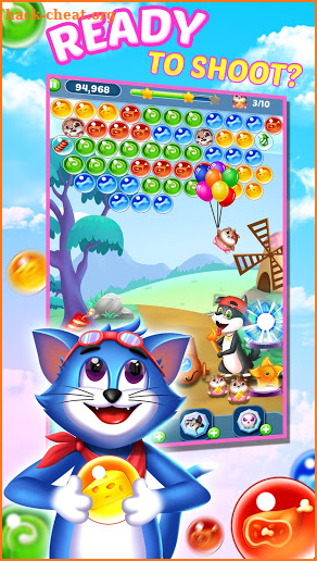 Tomcat Pop: New Bubble Shooter screenshot