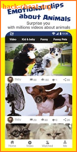 TopViral: top viral videos and Funny GIFs screenshot