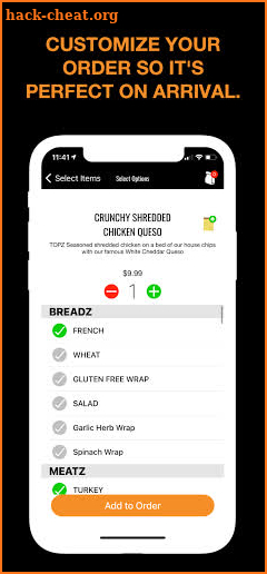 TOPZ Sandwich Co. screenshot
