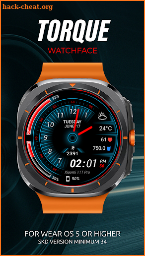 Torque Watch Face screenshot