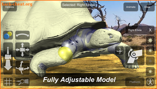 Tortoise Mannequin screenshot