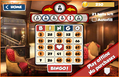 Total Bingo screenshot