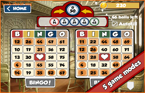Total Bingo screenshot