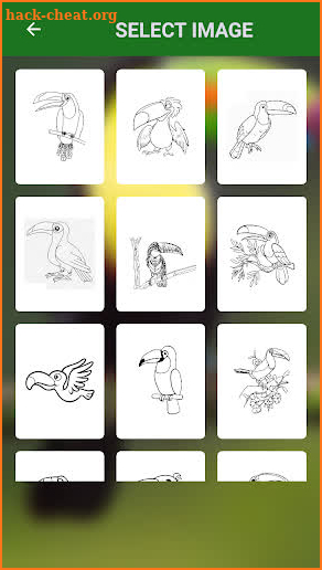 Toucan coloring book screenshot