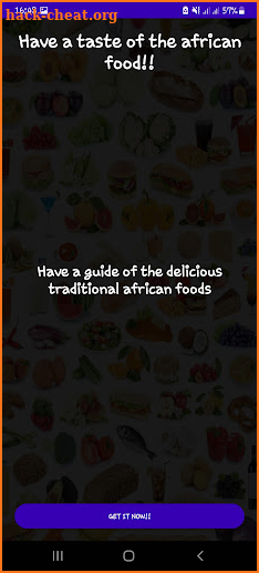 Traditional African Food screenshot